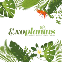 (c) Exoplantus.wordpress.com